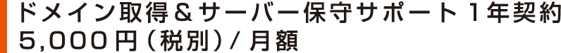 ドメイン取得&サーバー保守サポート1年契約 5,000円(税別)~/月額 ドメイン取得&サーバー保守サポート1年契約 5,000円(税別)~/月額